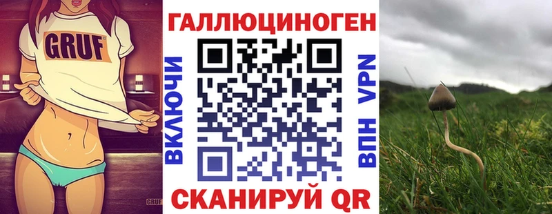 где можно купить наркотик  Ялуторовск  Псилоцибиновые грибы ЛСД 