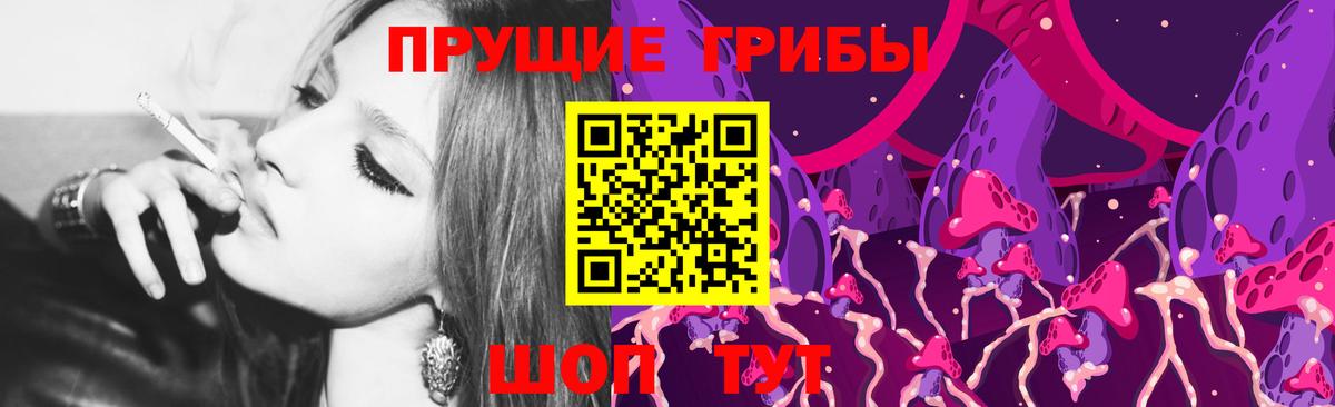 Псилоцибиновые грибы Psilocybe Ялуторовск